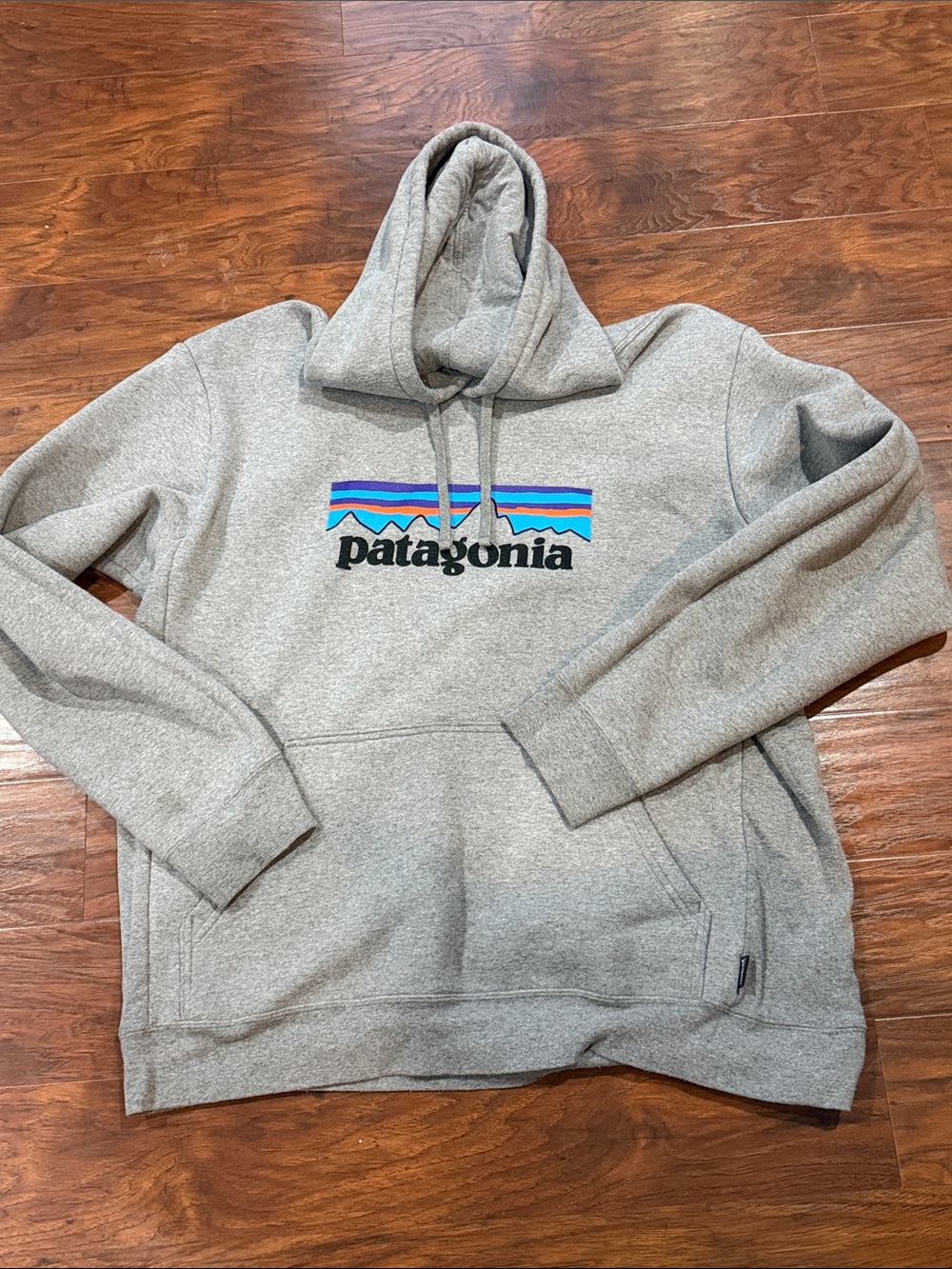 Patagonia Heather Gray Pullover Hoodie with Color Stripe Logo